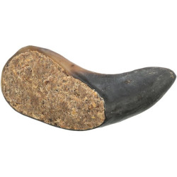 Corne de buffle farce aux nerfs tendons 10–14 cm de Trixie - Produit pour animaux dans T050