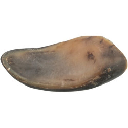 Corne de buffle farce aux nerfs tendons 10–14 cm de Trixie - Produit pour animaux dans T050