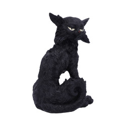 Figurine salem (small) 19.6cm de Herboristerie et Esotérisme à Libourne dans W0151