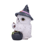 Figurine owl potion 17.5cm de Herboristerie et Esotérisme à Libourne dans W0151