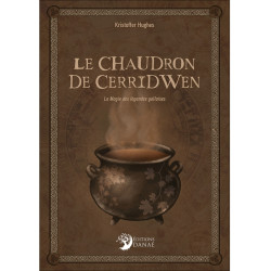 Chaudron de cerridwen de Herboristerie et Esotérisme à Libourne dans A061