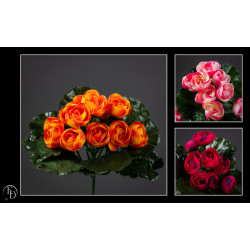 Piquet de renoncule mini h19cm de Jardinerie Bordeaux Libourne Gironde dans E078