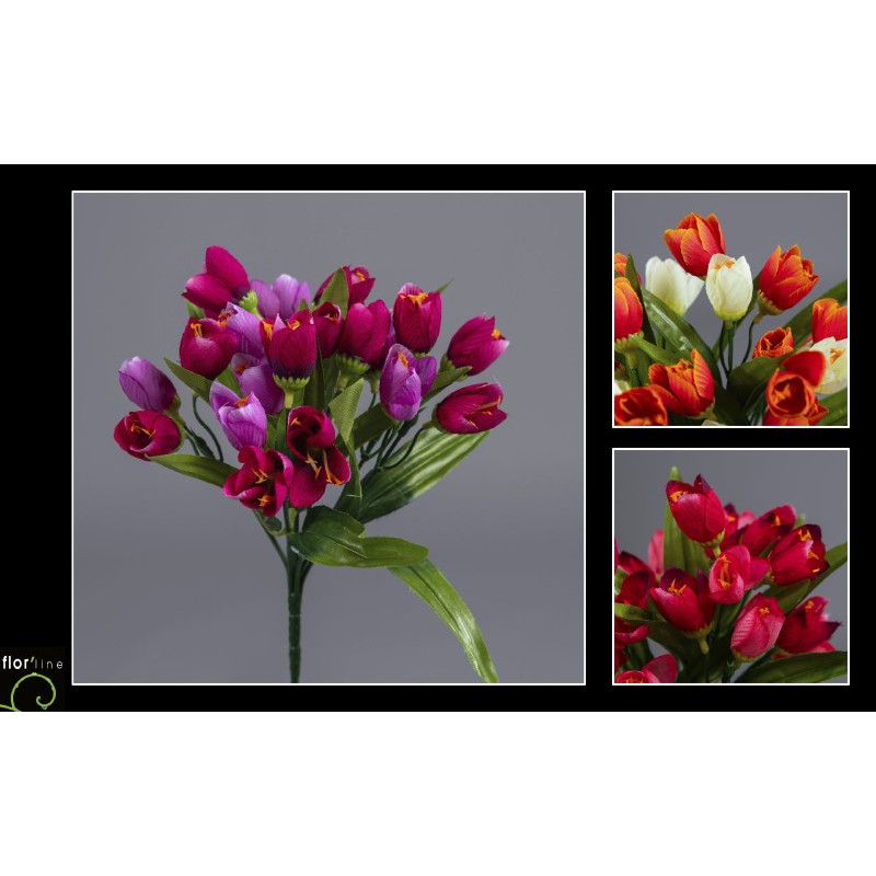 Bouquet de crocus 7tiges h27cm de Jardinerie Bordeaux Libourne Gironde dans E078