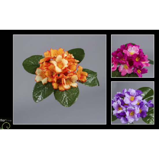 Piquet de primevere 5tiges h18cm de Jardinerie Bordeaux Libourne Gironde dans E078