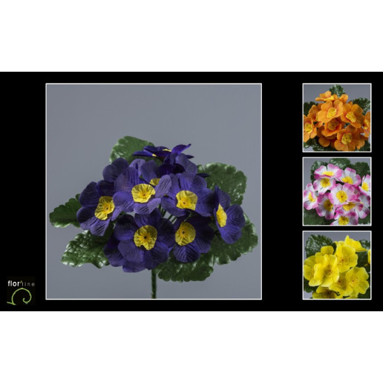 Piquet de primevere 11tiges h19cm de Jardinerie Bordeaux Libourne Gironde dans E078