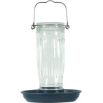 Mangeoire verre marine de Zolux - Produit pour animaux dans Z002