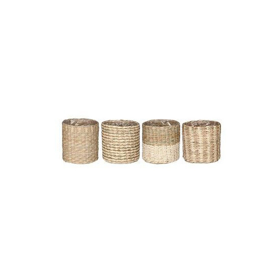 pot Alexis rond h7 d7cm de Jardinerie Bordeaux Libourne Gironde dans E009