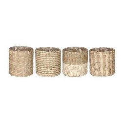 pot Alexis rond h7 d7cm de Jardinerie Bordeaux Libourne Gironde dans E009