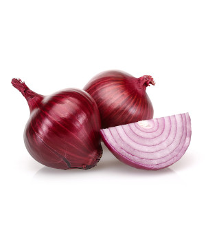 Oignon rouge 14/21 250g a planter de Jardinerie Bordeaux Libourne Gironde dans C126