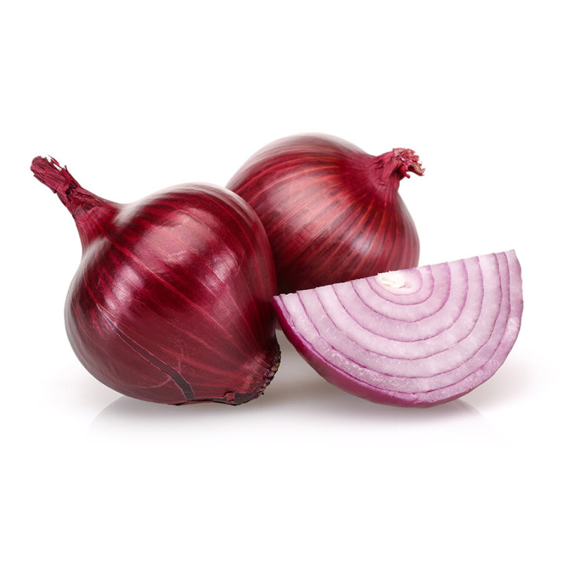 Oignon rouge 14/21 500g a planter de Jardinerie Bordeaux Libourne Gironde dans C126