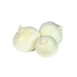 Oignon blanc 14/21 250g a planter de Jardinerie Bordeaux Libourne Gironde dans C126