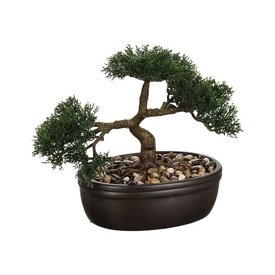 BONSAI BAKI DANS POT CERAMIQUE NOIR H23CM de J-Line by Jolipa - Déco intérieur dans J031