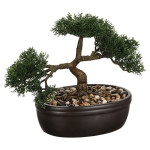 BONSAI BAKI DANS POT CERAMIQUE NOIR H23CM de J-Line by Jolipa - Déco intérieur dans J031