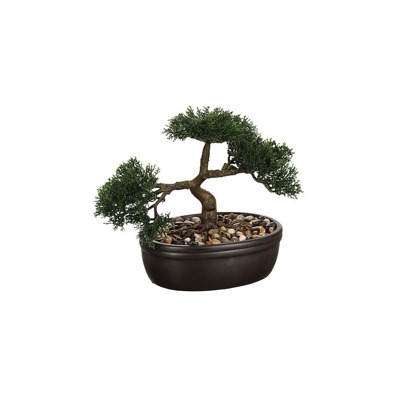 BONSAI BAKI DANS POT CERAMIQUE NOIR H23CM de J-Line by Jolipa - Déco intérieur dans J031