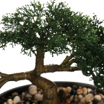 BONSAI BAKI DANS POT CERAMIQUE NOIR H23CM de J-Line by Jolipa - Déco intérieur dans J031