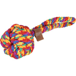 Jouet chien rainbow balle 9.5cm de Zolux - Produit pour animaux dans Z002