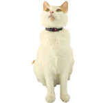 Jouet chat chatouille collier souris de Zolux - Produit pour animaux dans Z002