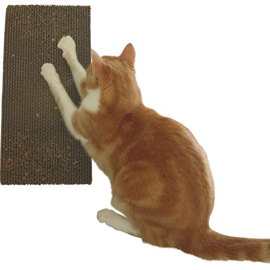 Chatouille griffoir rectangle de Zolux - Produit pour animaux dans Z002
