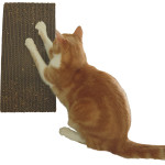 Chatouille griffoir rectangle de Zolux - Produit pour animaux dans Z002