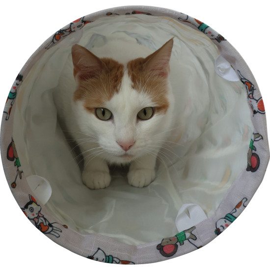 Chatouille tunnel droit pour chat 50cm de Zolux - Produit pour animaux dans Z002