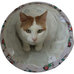 Chatouille tunnel droit pour chat 50cm de Zolux - Produit pour animaux dans Z002