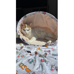 Chatouille chaussette paniere chat de Zolux - Produit pour animaux dans Z002