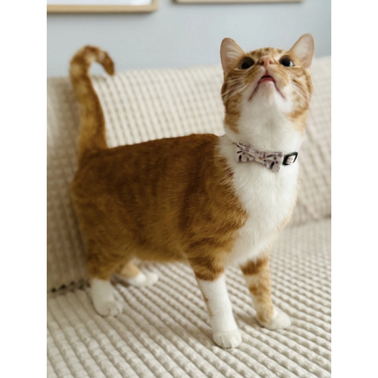 Chatouille collier pour chat noeud beige de Zolux - Produit pour animaux dans Z002