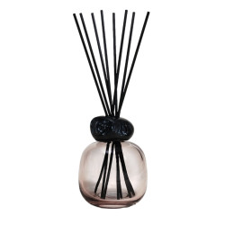 BOUQUET MINERAL ROSE/NOIR de Lampe Berger Paris - parfums et diffuseurs dans M1081