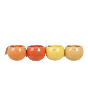 Pots Magnetic Orange mix de Jardinerie Bordeaux Libourne Gironde dans J024