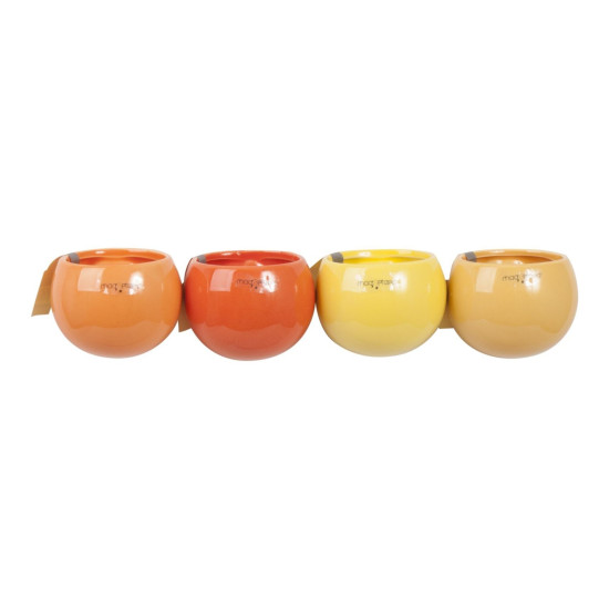 Pots Magnetic Orange mix de Jardinerie Bordeaux Libourne Gironde dans J024