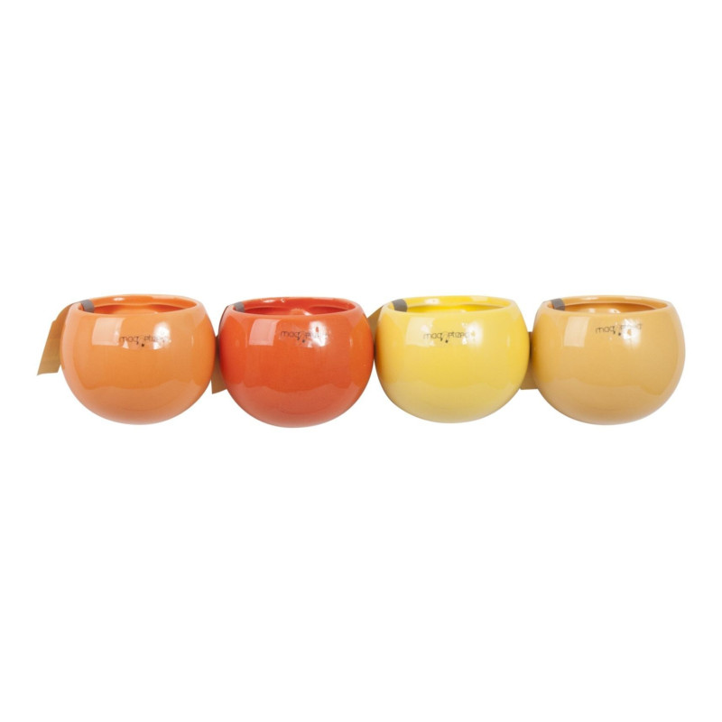 Pots Magnetic Orange mix de Jardinerie Bordeaux Libourne Gironde dans J024