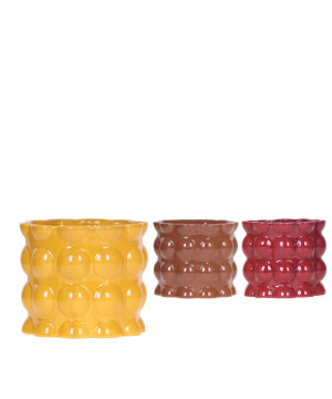 Ceramic Cotton yellow mix 12cm Theme Bold sevent de Jardinerie Bordeaux Libourne Gironde dans J024