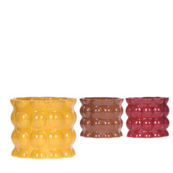 Ceramic Cotton yellow mix 12cm Theme Bold sevent de Jardinerie Bordeaux Libourne Gironde dans J024