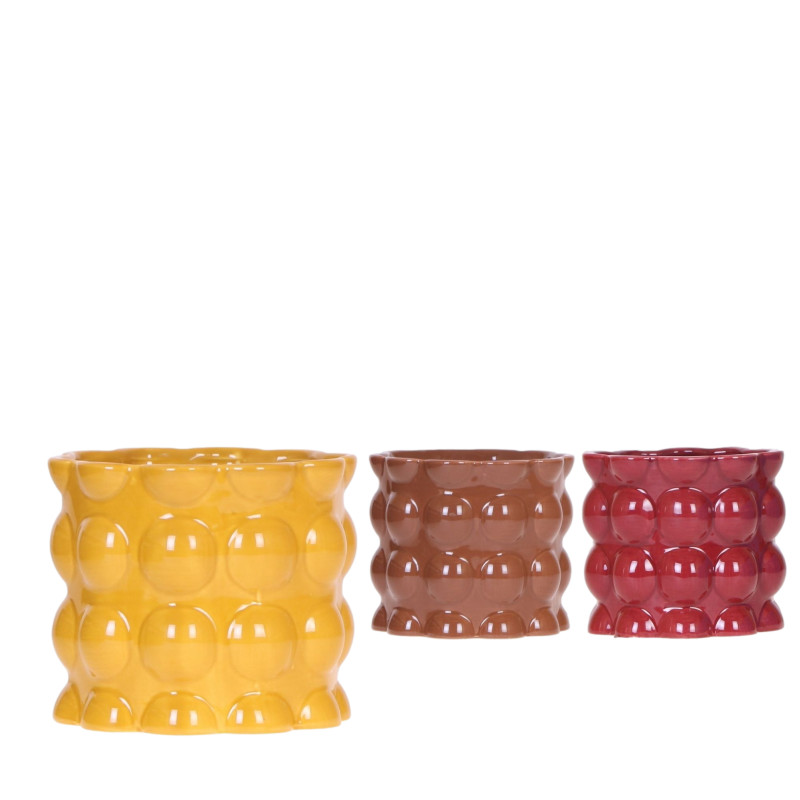 Ceramic Cotton yellow mix 12cm Theme Bold sevent de Jardinerie Bordeaux Libourne Gironde dans J024