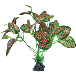 Plante debout rouge/verte pour reptiles de Superfish - Aquadistri - accessoires pour aquarium et bassin dans A075