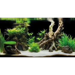 Poster deco pour aquarium g2 60x49 cm de Superfish - Aquadistri - accessoires pour aquarium et bassin dans A075