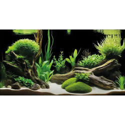 Poster deco pour aquarium g6 150x61 cm de Superfish - Aquadistri - accessoires pour aquarium et bassin dans A075