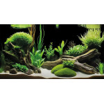 Poster deco pour aquarium g6 150x61 cm de Superfish - Aquadistri - accessoires pour aquarium et bassin dans A075