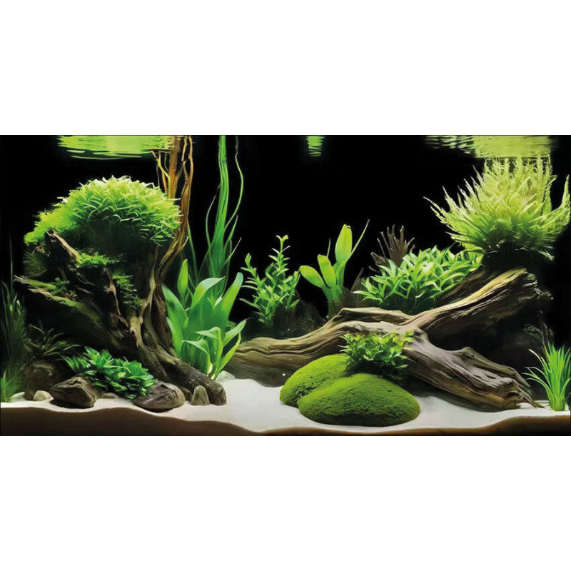 Poster deco pour aquarium g6 150x61 cm de Superfish - Aquadistri - accessoires pour aquarium et bassin dans A075