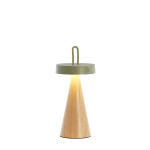 LAMPE DE TABLE ANKENTA 1L VERT+BOIS D13x28.5CM de Jardinerie Bordeaux Libourne Gironde dans L1371