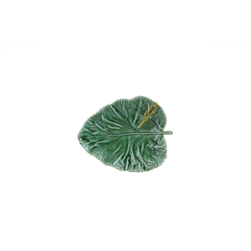 FEUILLE MURIER AVEC SAUTERELLE de Jardinerie Bordeaux Libourne Gironde dans V066