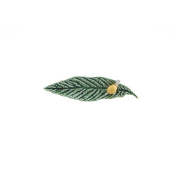 FEUILLE NEFLIER AVEC ESCARGOT de Jardinerie Bordeaux Libourne Gironde dans V066