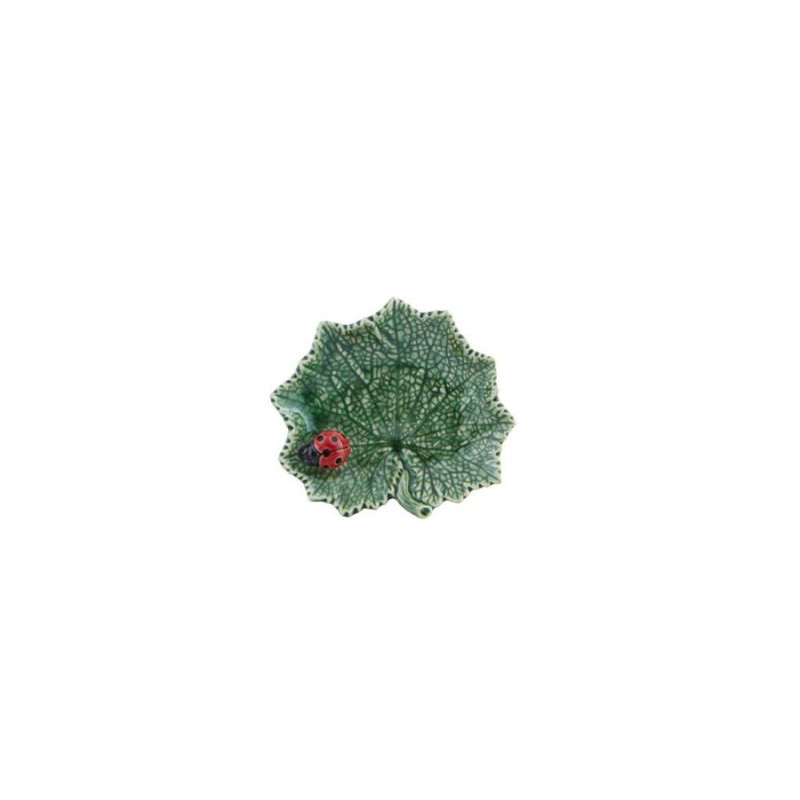 FEUILLE CINERAIRE AVEC COCCINELLE de Jardinerie Bordeaux Libourne Gironde dans V066