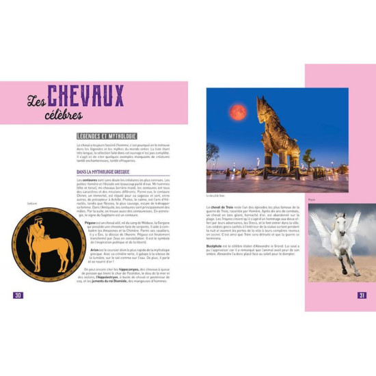 Livre ma petite encyclo du cheval de Jardinerie Bordeaux Libourne Gironde dans C023