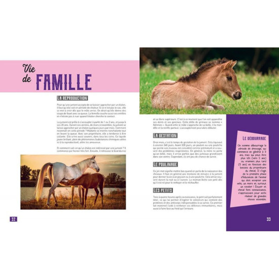 Livre ma petite encyclo du cheval de Jardinerie Bordeaux Libourne Gironde dans C023