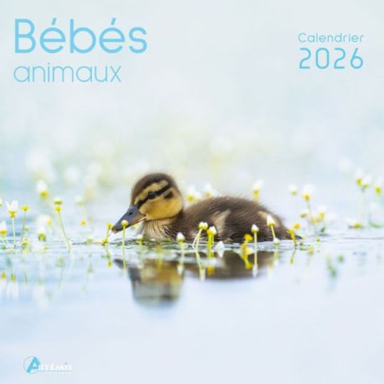 Calendrier bebes animaux 2026 de Jardinerie Bordeaux Libourne Gironde dans C023