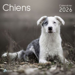 Calendrier chiens 2026 de Jardinerie Bordeaux Libourne Gironde dans C023