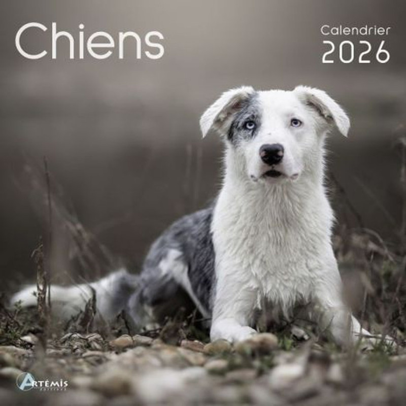 Calendrier chiens 2026 de Jardinerie Bordeaux Libourne Gironde dans C023