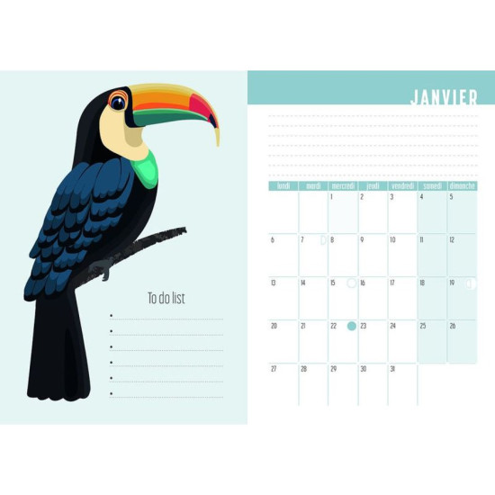 Agenda oiseaux 2026 de Jardinerie Bordeaux Libourne Gironde dans C023