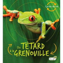 Livre du tetard a la grenouille de Jardinerie Bordeaux Libourne Gironde dans C023
